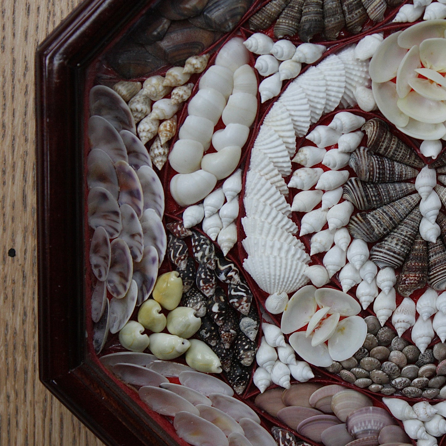 
                  
                    sailors valentine. 20th century shell mosaic.
                  
                