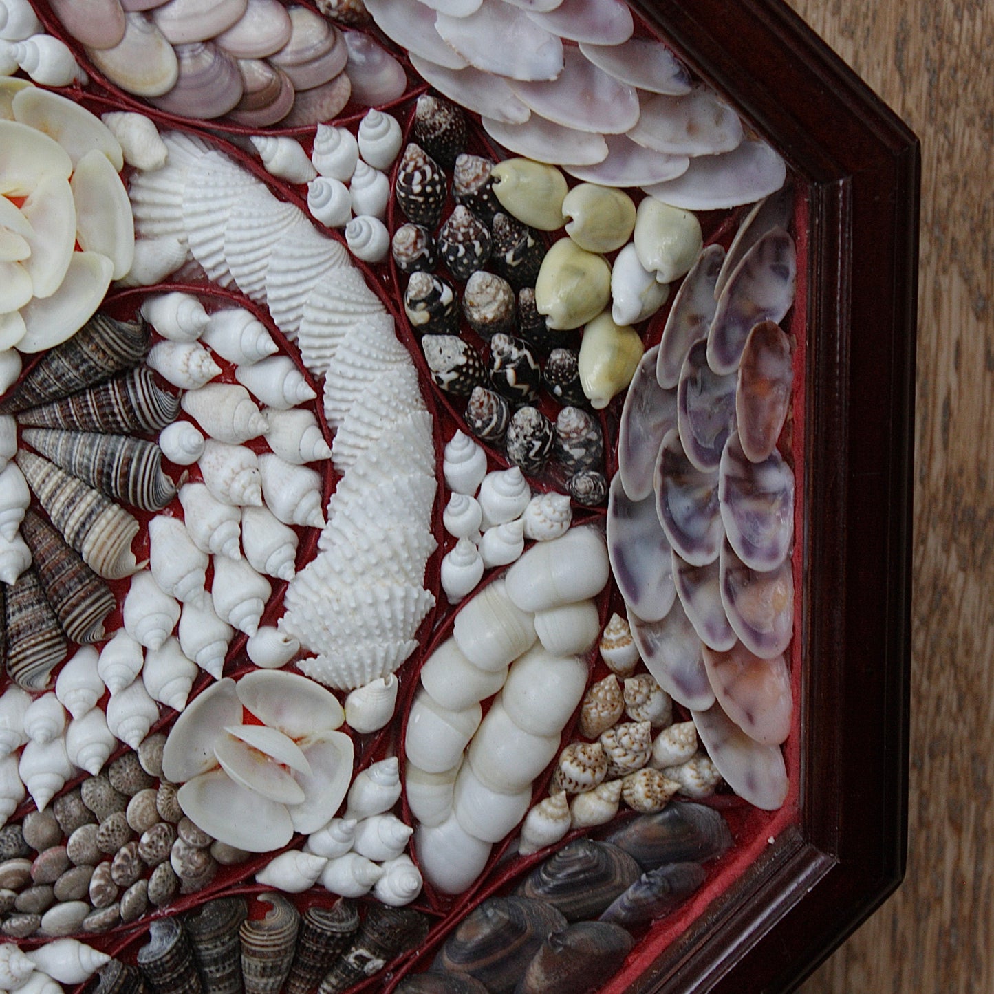 
                  
                    sailors valentine. 20th century shell mosaic.
                  
                