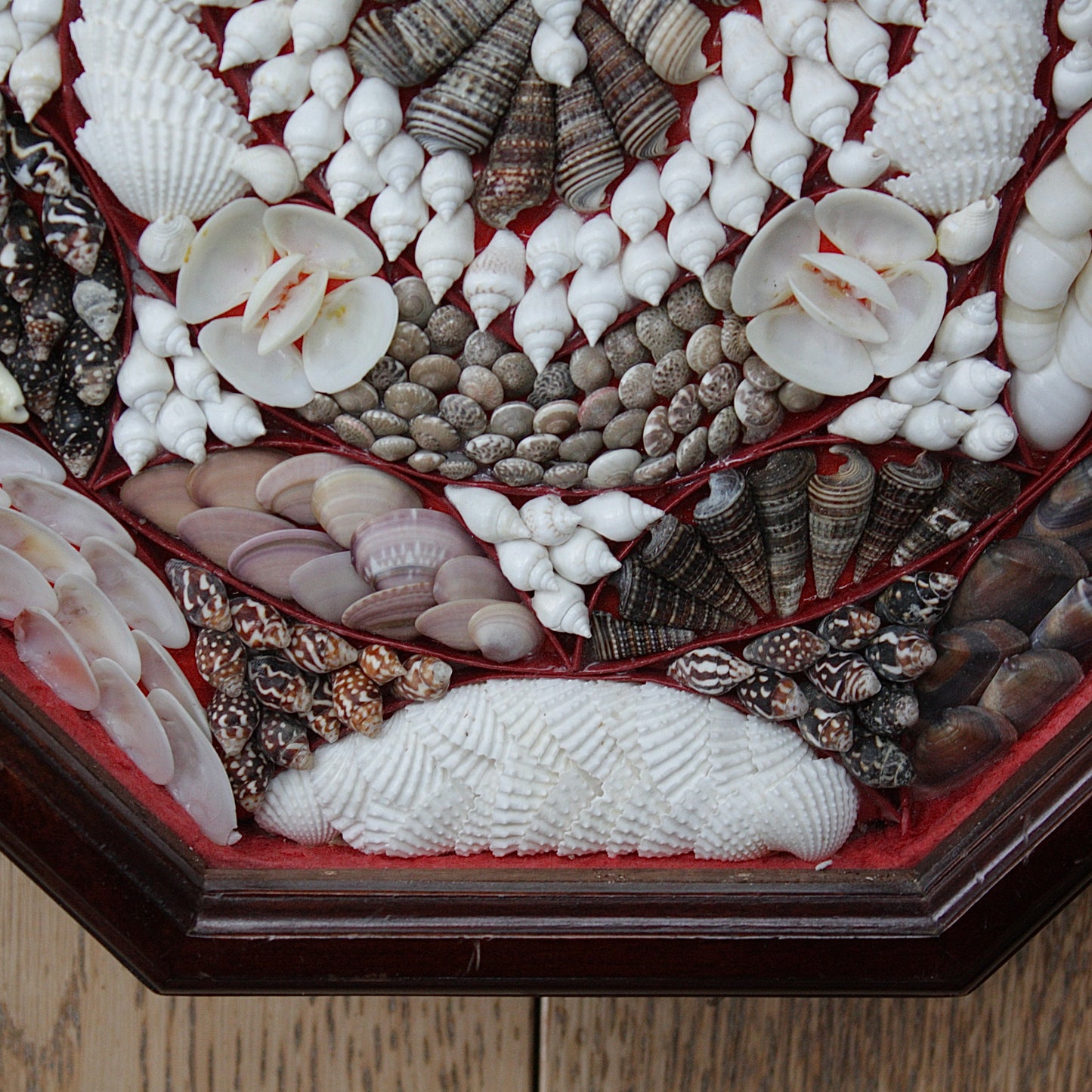 
                  
                    sailors valentine. 20th century shell mosaic.
                  
                