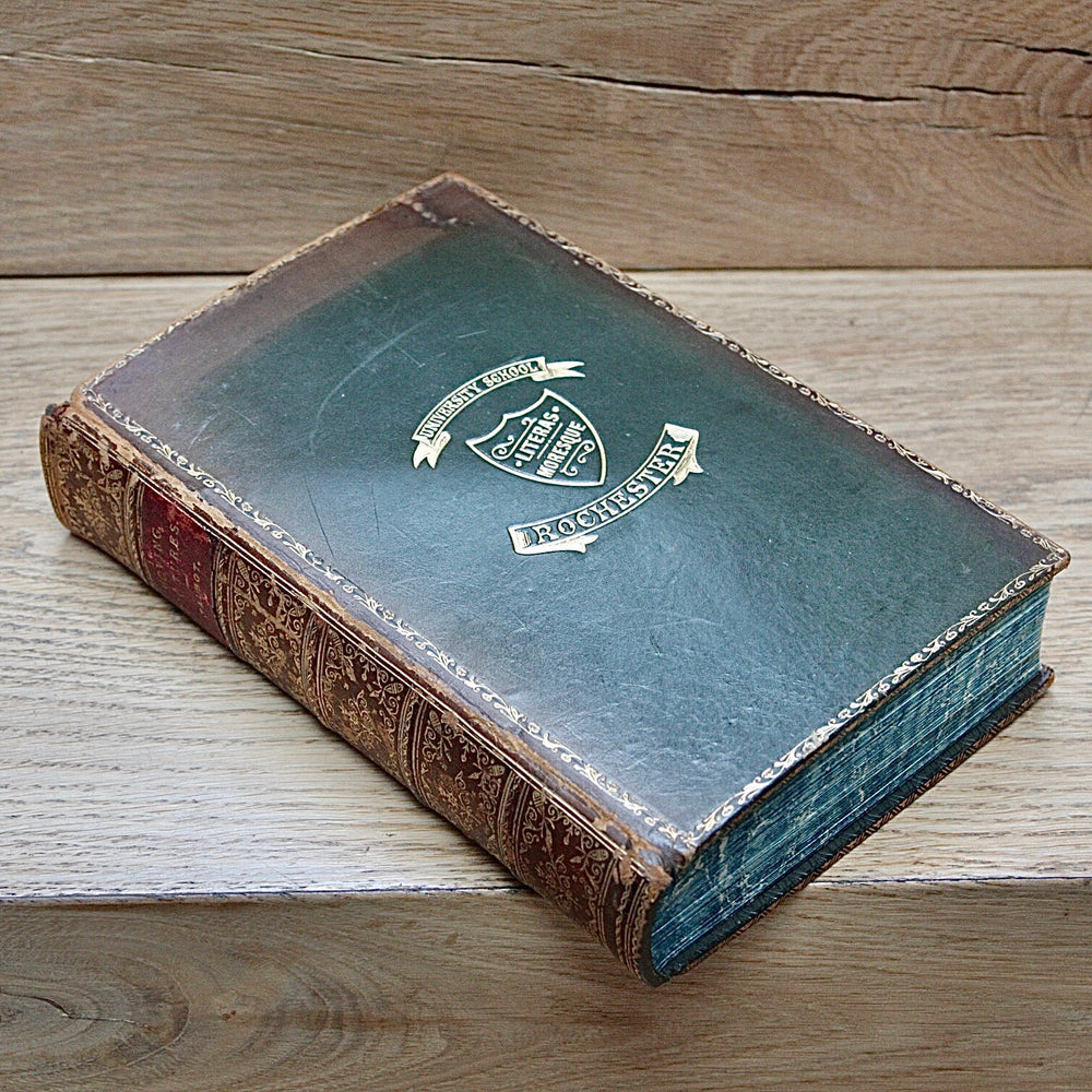 moving pictures how they are made and worked.