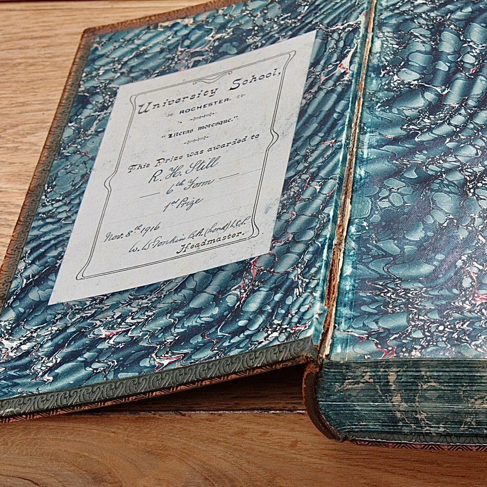 
                  
                    moving pictures how they are made and worked.
                  
                