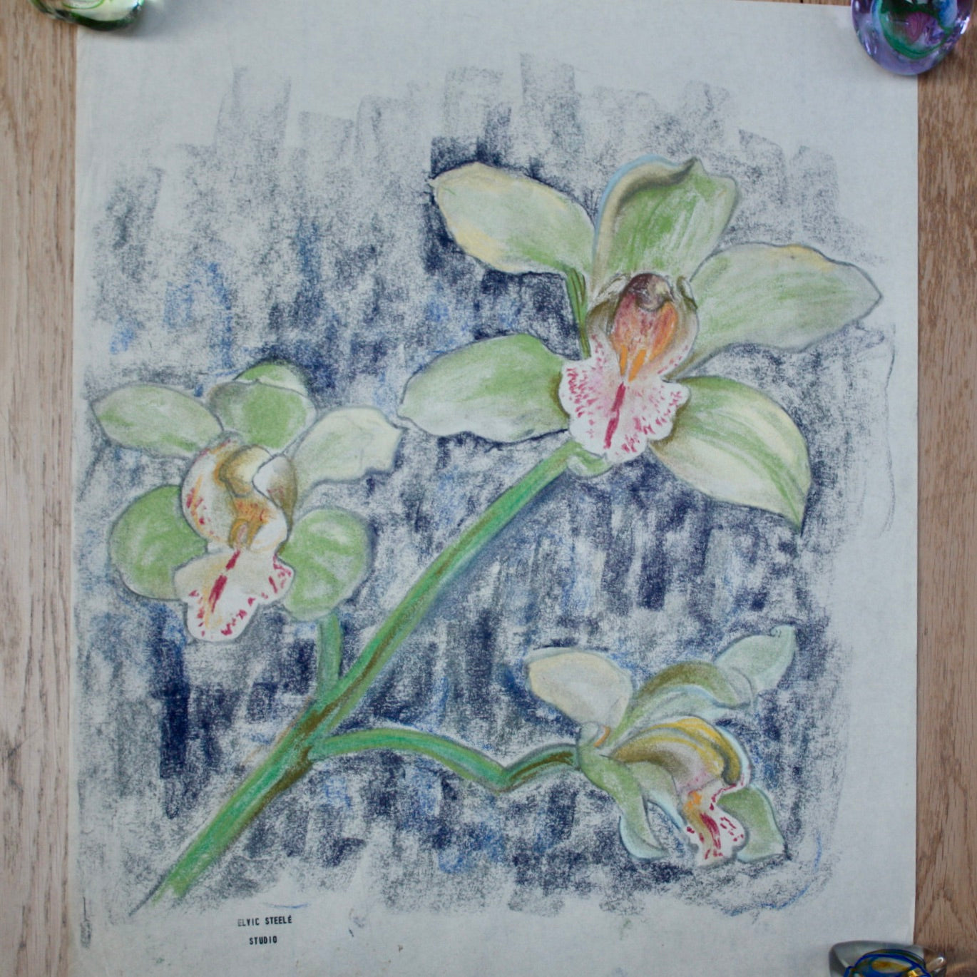 
                  
                    irises in bloom by elvic Steele
                  
                
