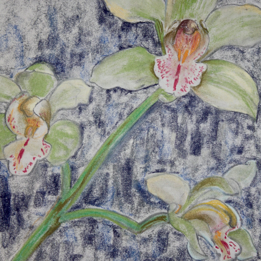 irises in bloom by elvic Steele