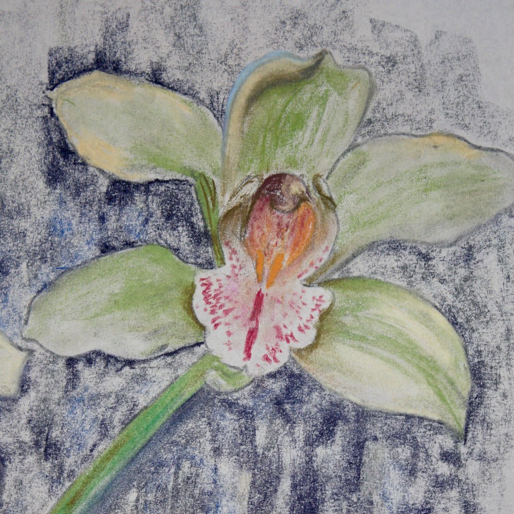 
                  
                    irises in bloom by elvic Steele
                  
                