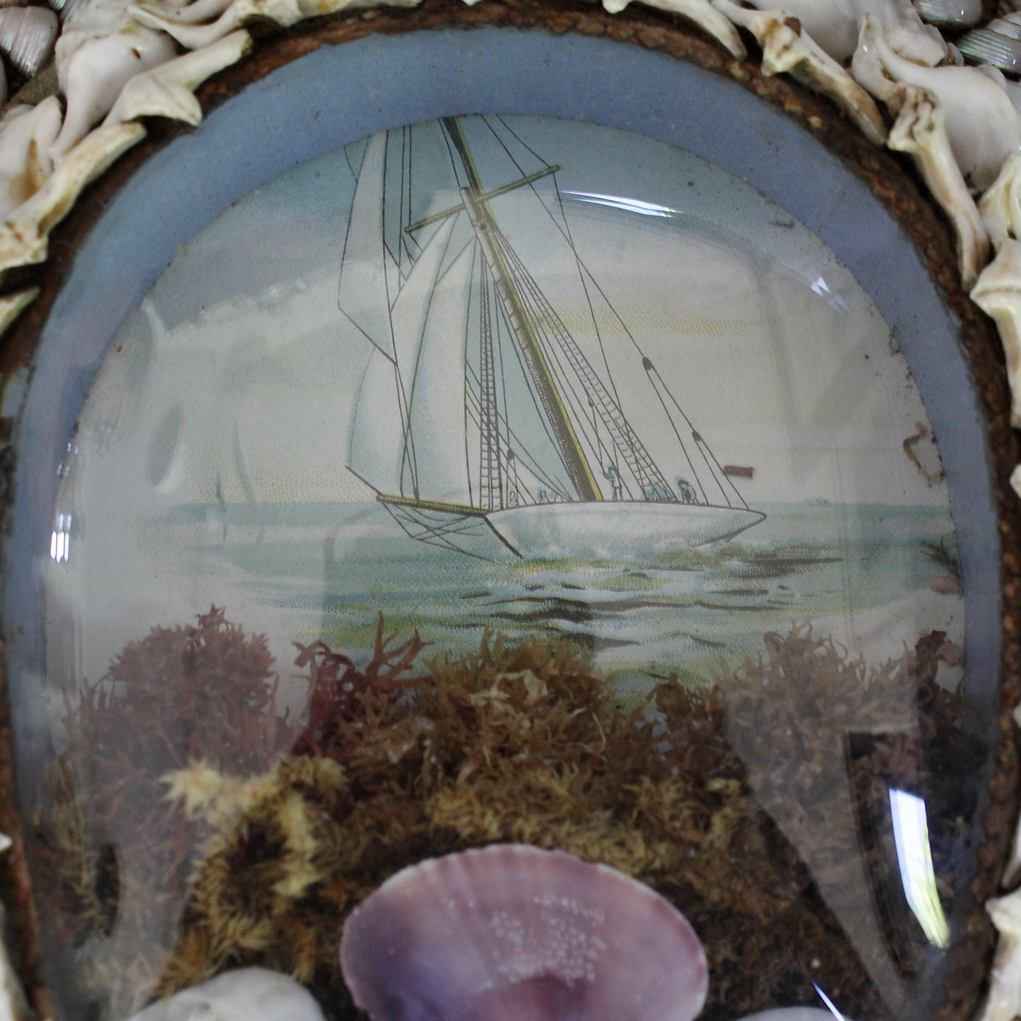 
                  
                    an antique victorian keep sake love token, shell sailors valentine lucky horseshoe.
                  
                