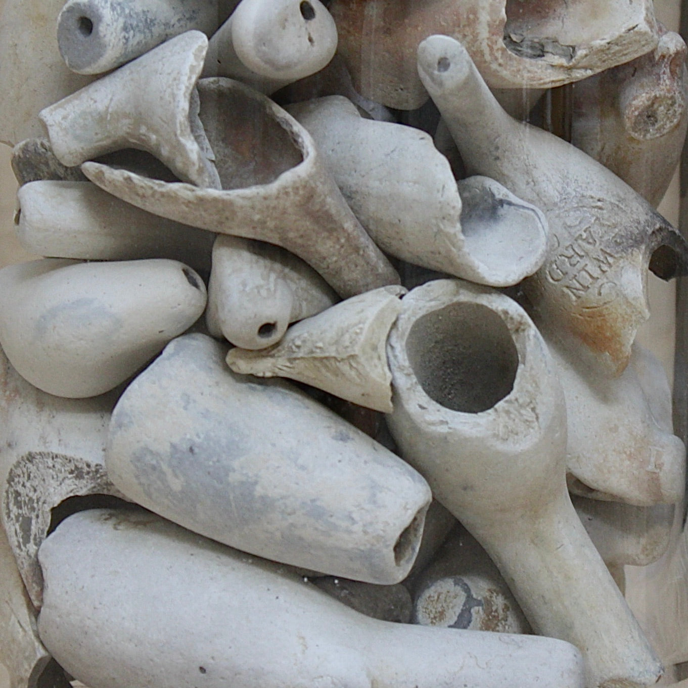 
                  
                    a jar of  18th/19th century clay tobacco pipe bowls.
                  
                