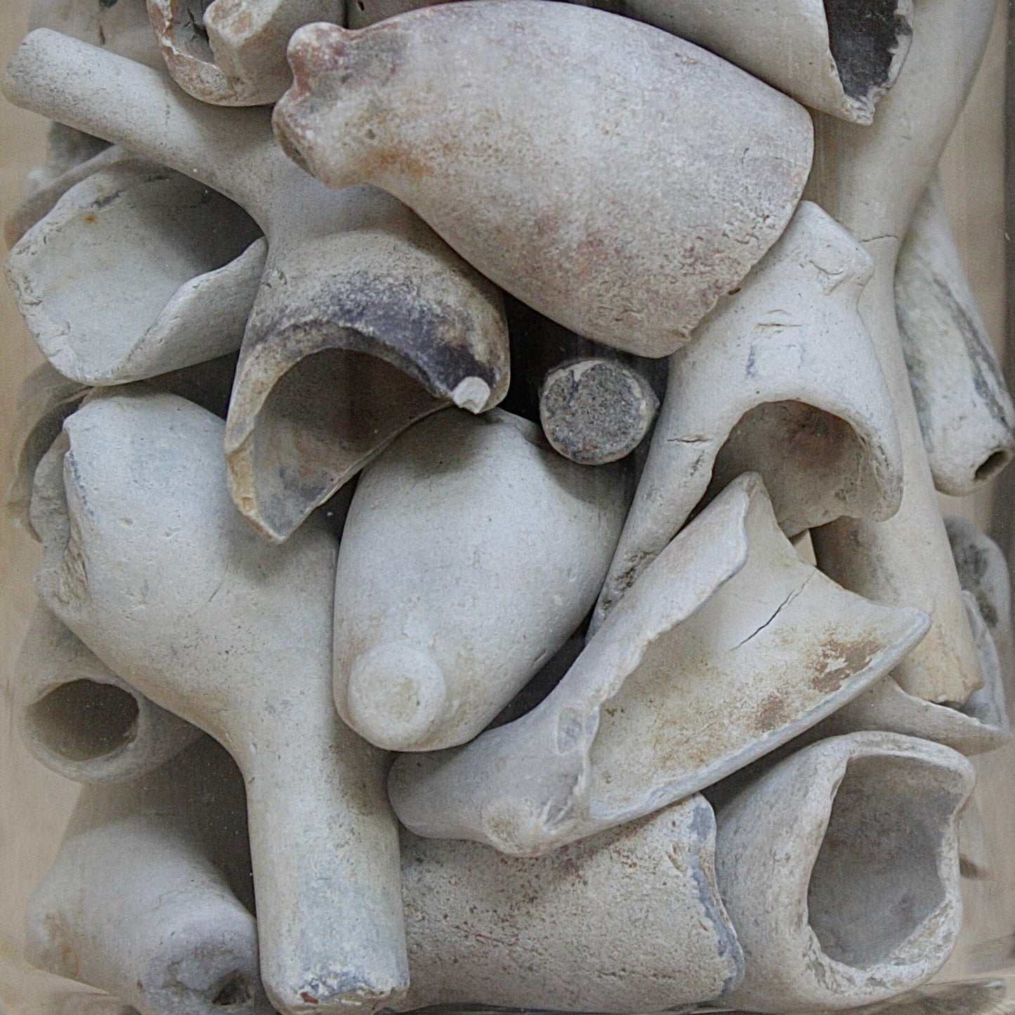 
                  
                    a jar of  18th/19th century clay tobacco pipe bowls.
                  
                