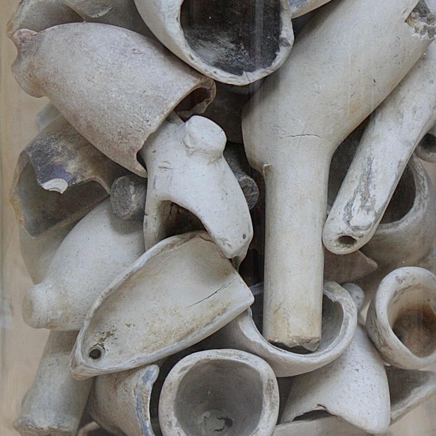 
                  
                    a jar of  18th/19th century clay tobacco pipe bowls.
                  
                