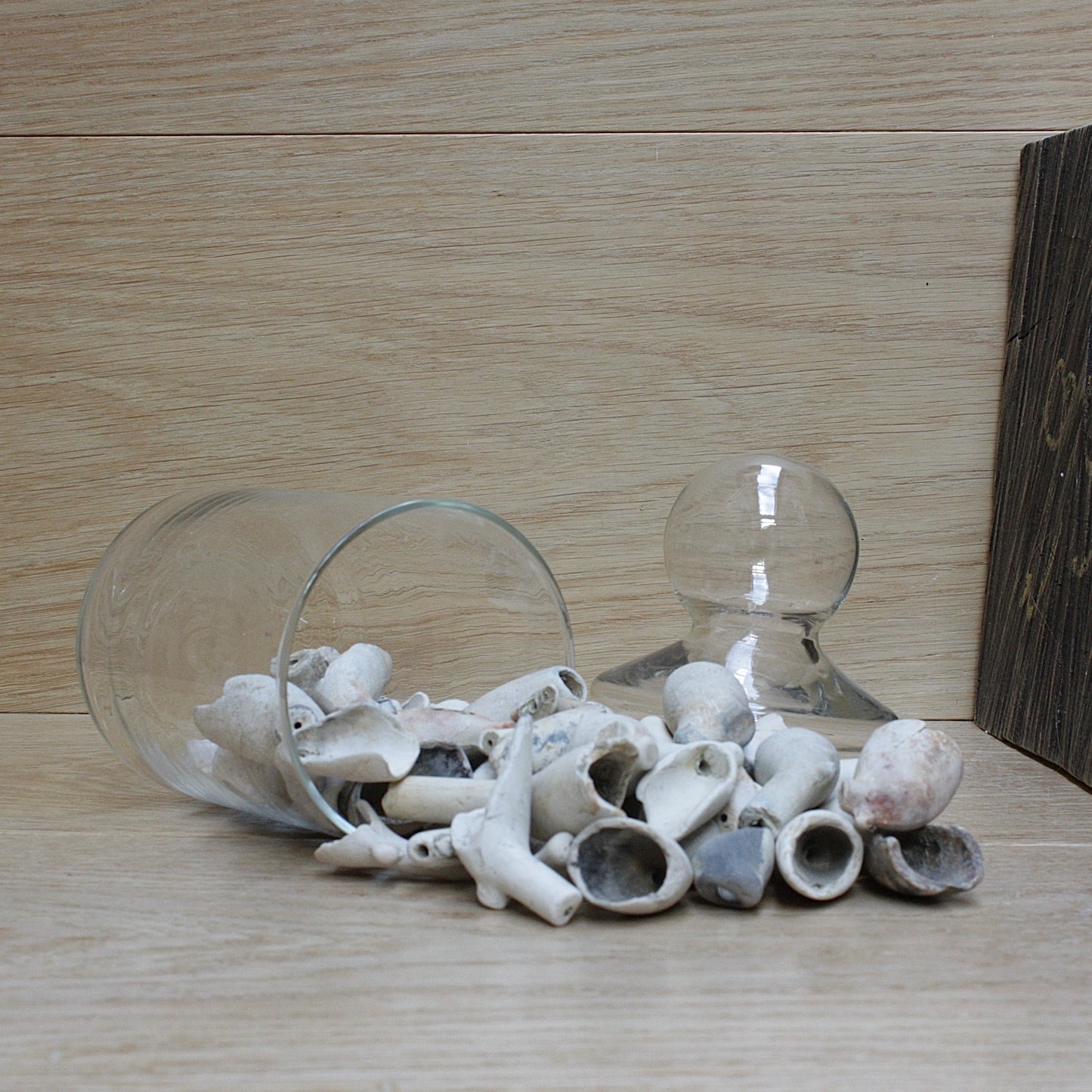 
                  
                    a jar of  18th/19th century clay tobacco pipe bowls.
                  
                