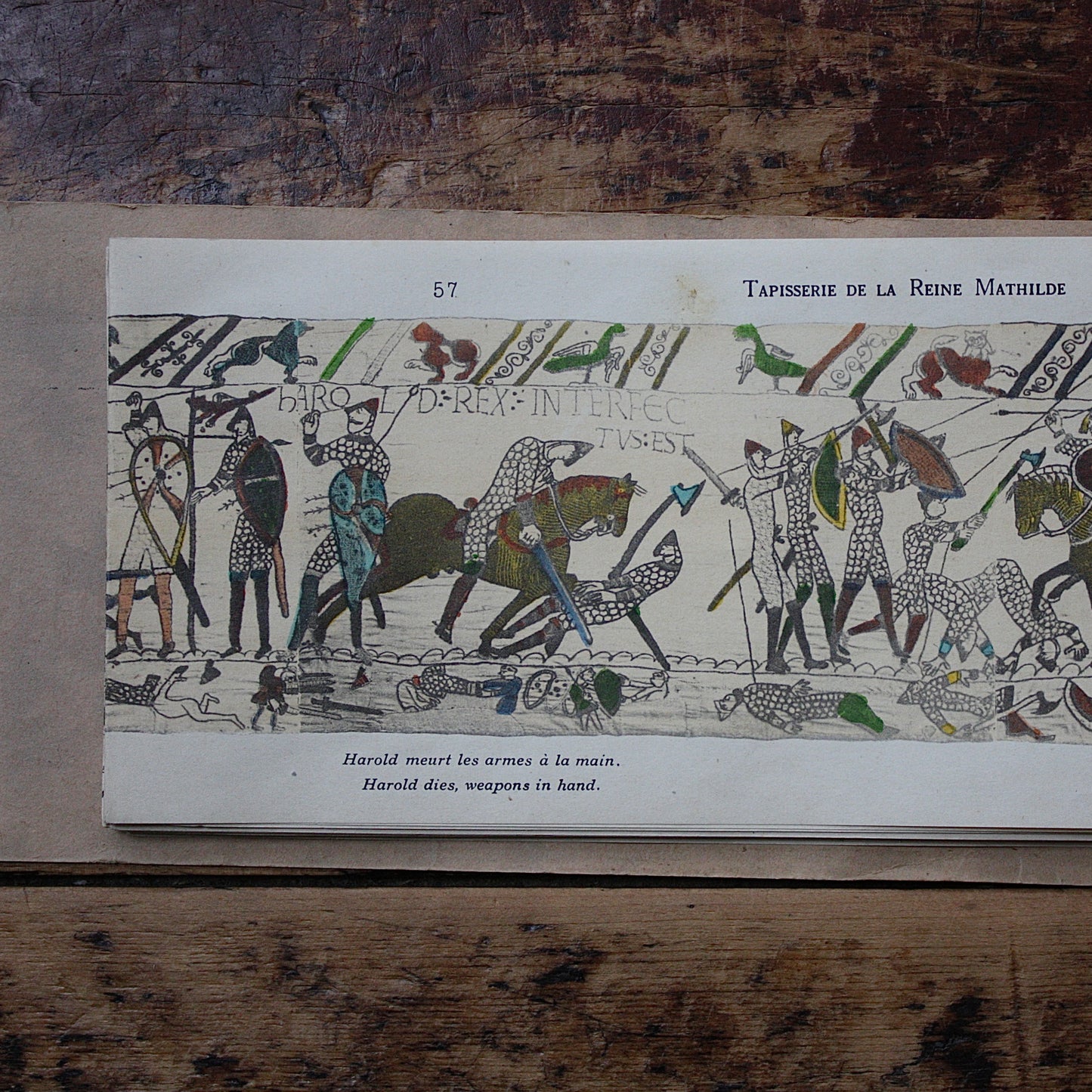 
                  
                    the complete bayeux tapestry of queen matilda.
                  
                