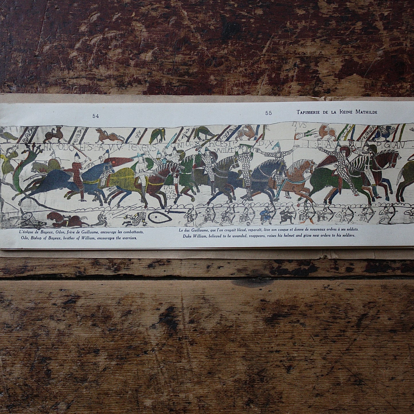 
                  
                    the complete bayeux tapestry of queen matilda.
                  
                