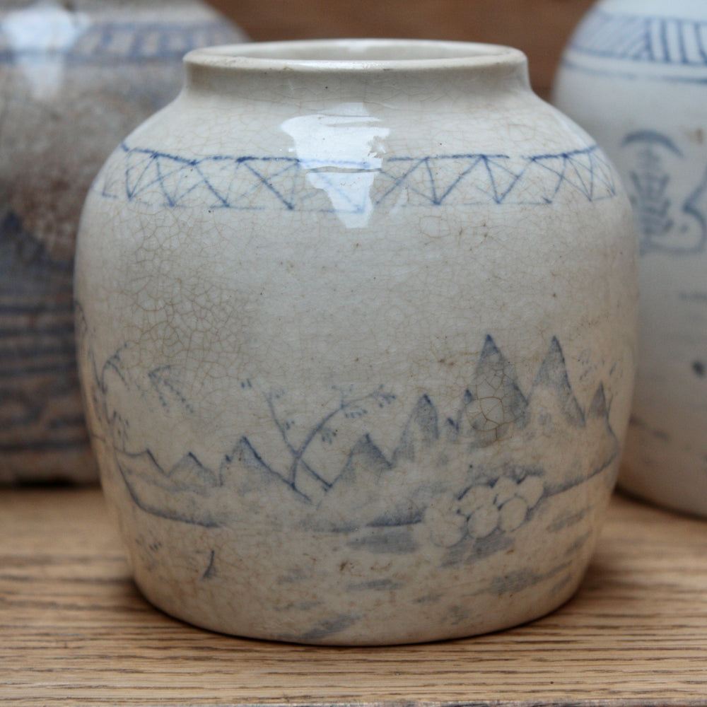 
                  
                    transfer blue patterned 19th century qing dynasty stoneware ginger jars.
                  
                