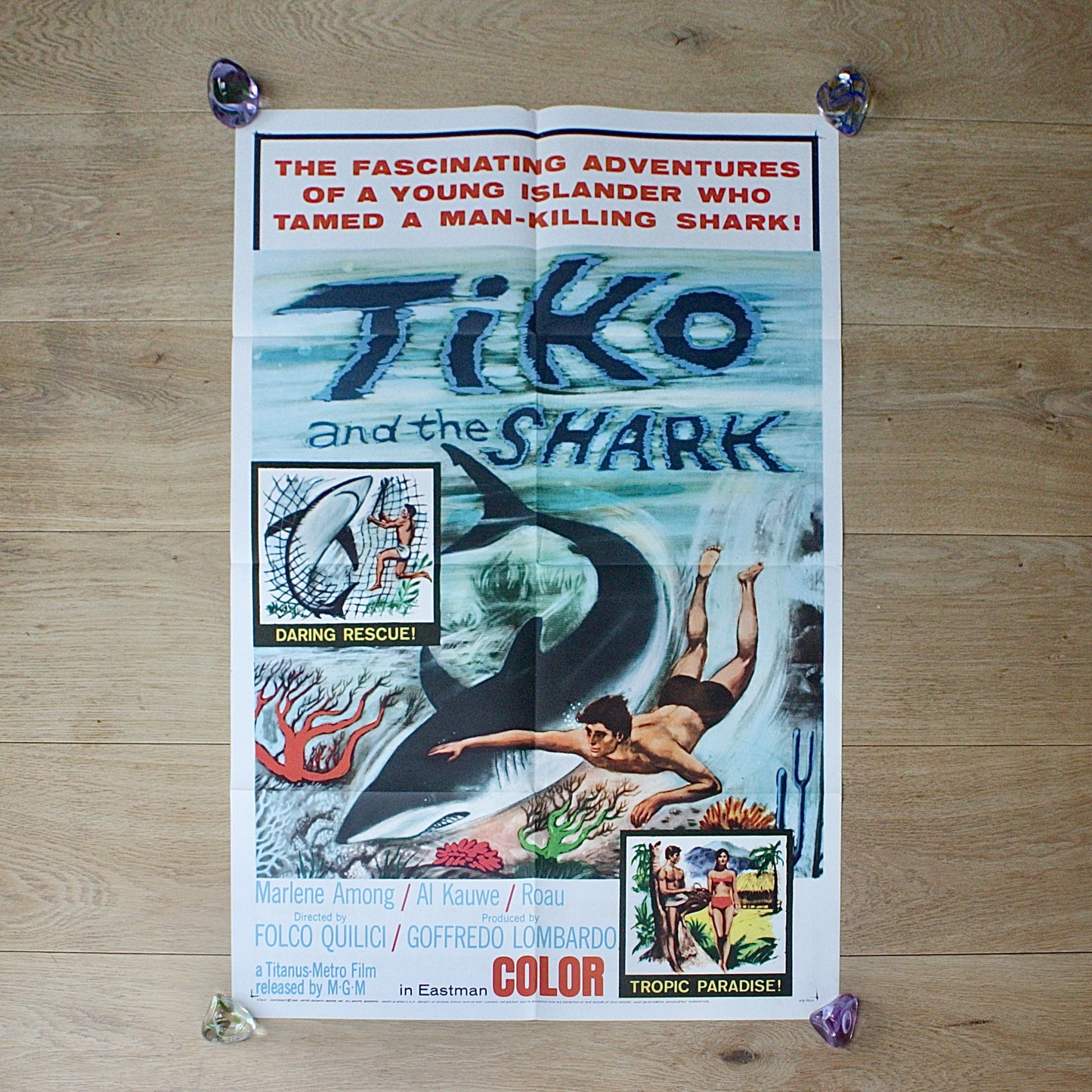
                  
                    " tiko and the shark " a large cinema poster.
                  
                