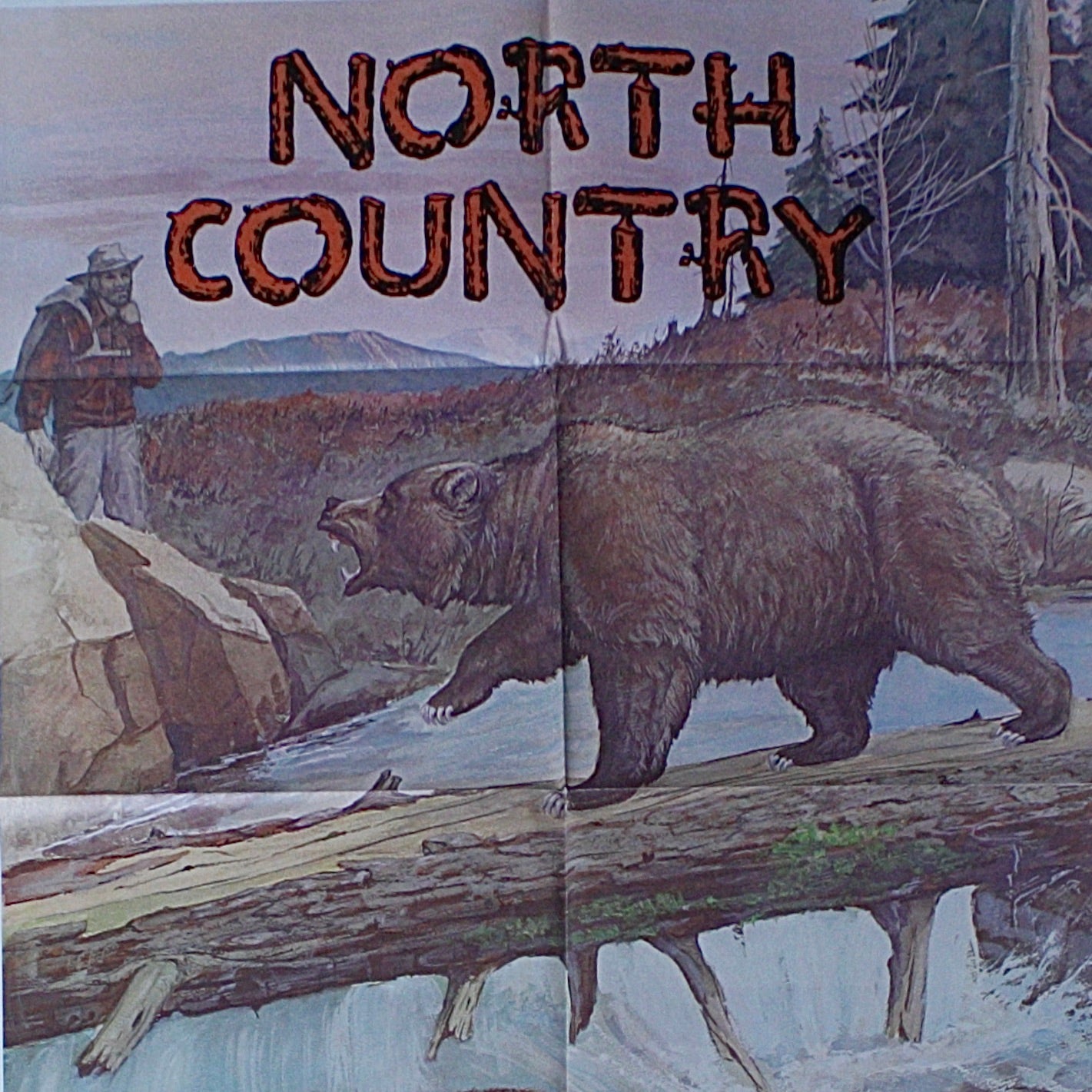 
                  
                    "north country" original cinema poster
                  
                